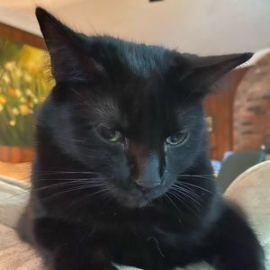 Meet your Posher, Kim